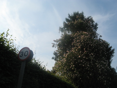 38.jpg